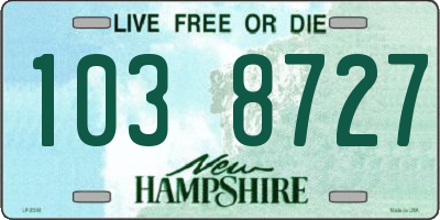 NH license plate 1038727