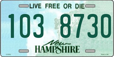NH license plate 1038730
