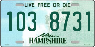 NH license plate 1038731