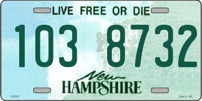 NH license plate 1038732