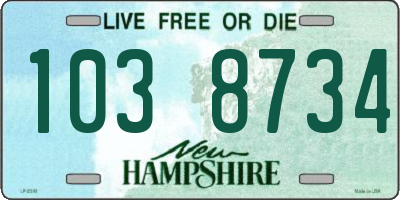 NH license plate 1038734