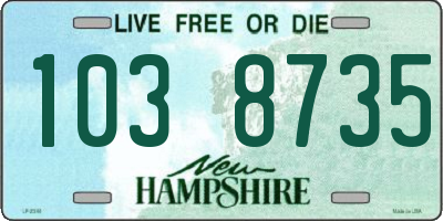NH license plate 1038735