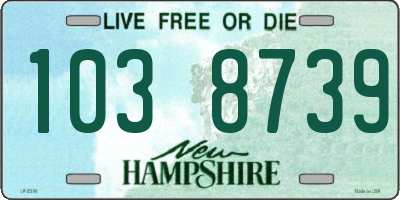 NH license plate 1038739