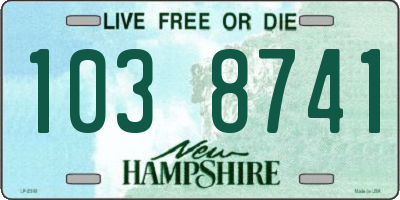 NH license plate 1038741