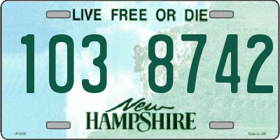 NH license plate 1038742