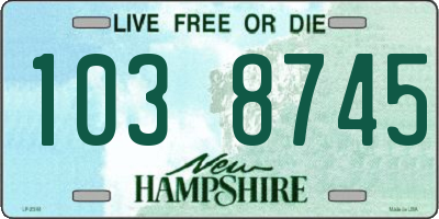 NH license plate 1038745