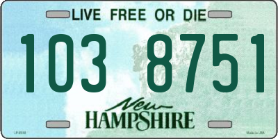NH license plate 1038751