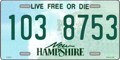 NH license plate 1038753