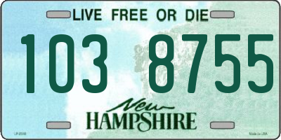NH license plate 1038755