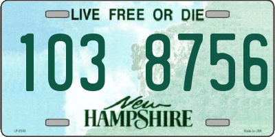 NH license plate 1038756