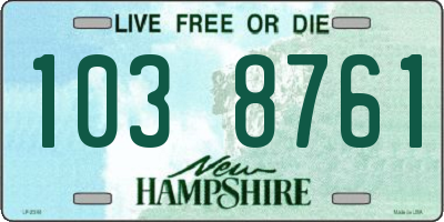 NH license plate 1038761
