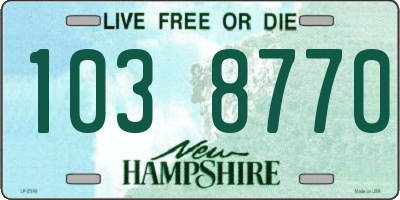 NH license plate 1038770