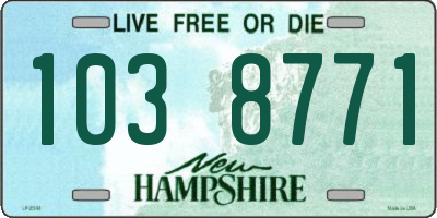 NH license plate 1038771