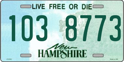 NH license plate 1038773