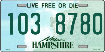 NH license plate 1038780