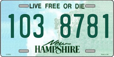 NH license plate 1038781