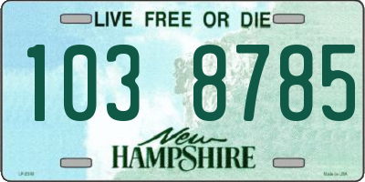 NH license plate 1038785