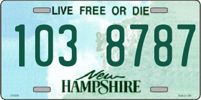 NH license plate 1038787