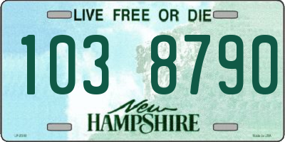 NH license plate 1038790