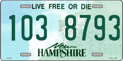 NH license plate 1038793