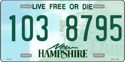 NH license plate 1038795
