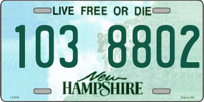 NH license plate 1038802