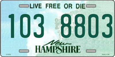 NH license plate 1038803