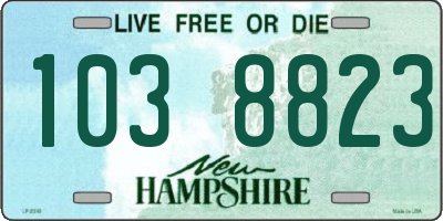 NH license plate 1038823