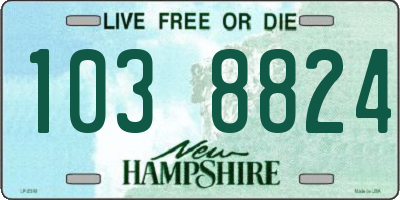 NH license plate 1038824