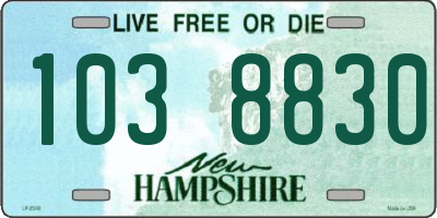 NH license plate 1038830