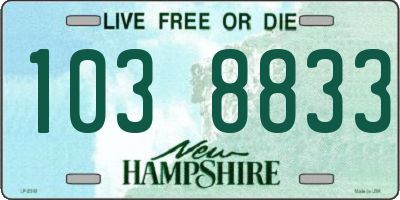 NH license plate 1038833