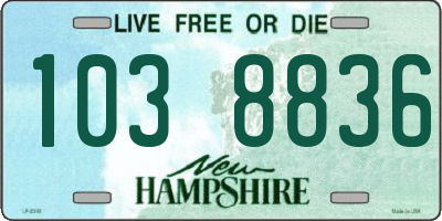 NH license plate 1038836