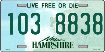 NH license plate 1038838
