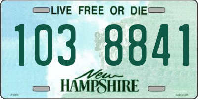 NH license plate 1038841