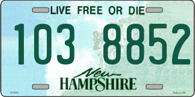 NH license plate 1038852