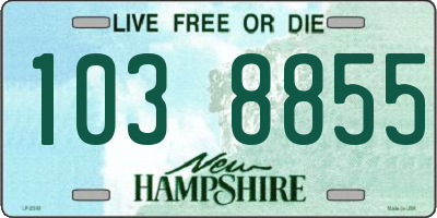NH license plate 1038855