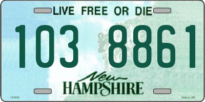 NH license plate 1038861
