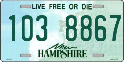 NH license plate 1038867