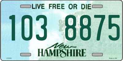NH license plate 1038875