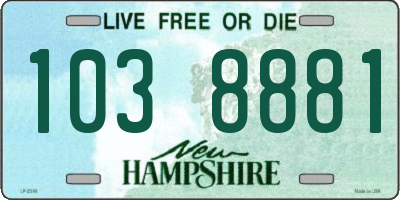 NH license plate 1038881