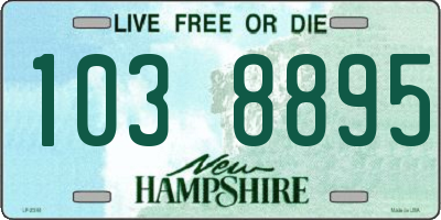 NH license plate 1038895