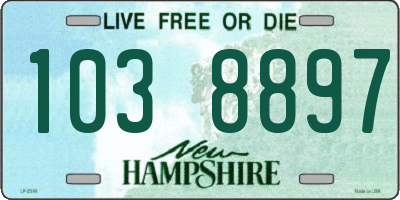 NH license plate 1038897