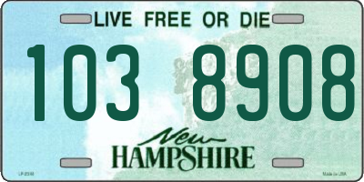 NH license plate 1038908