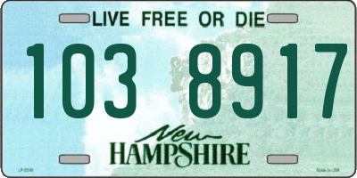 NH license plate 1038917