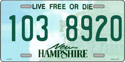 NH license plate 1038920
