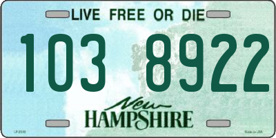 NH license plate 1038922