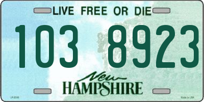 NH license plate 1038923