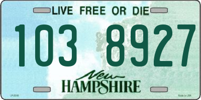 NH license plate 1038927