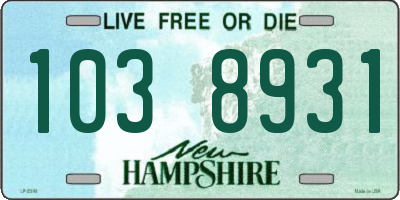 NH license plate 1038931