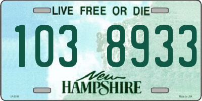 NH license plate 1038933